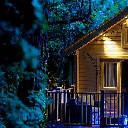 Вилла Alum Chine Log Cabin Борнмут Экстерьер фото